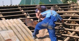 Демонтаж крыши в Новоалтайске - стоимость работ от 724 рублей за м2